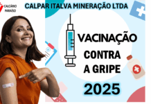 Vacinação contra a gripe 2025