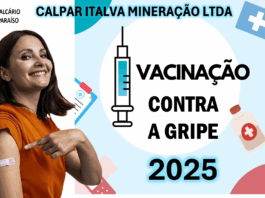 Vacinação contra a gripe 2025